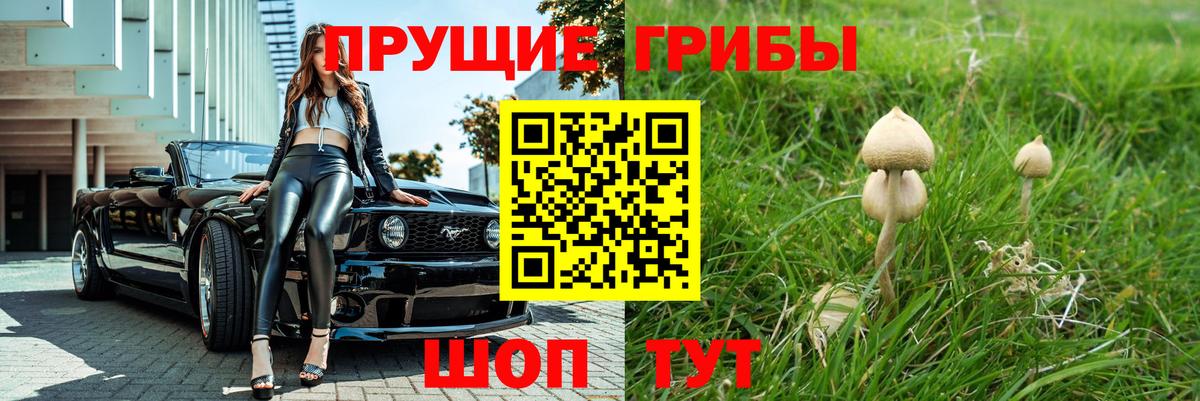 Псилоцибиновые грибы ЛСД  Псилоцибиновые грибы мухоморы  наркошоп  Стрежевой  Вход с VPN 